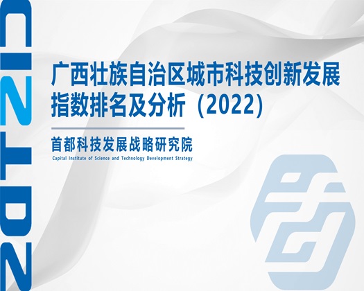 被大鸡巴猛操视频【成果发布】广西壮族自治区城市科技创新发展指数排名及分析（2022）